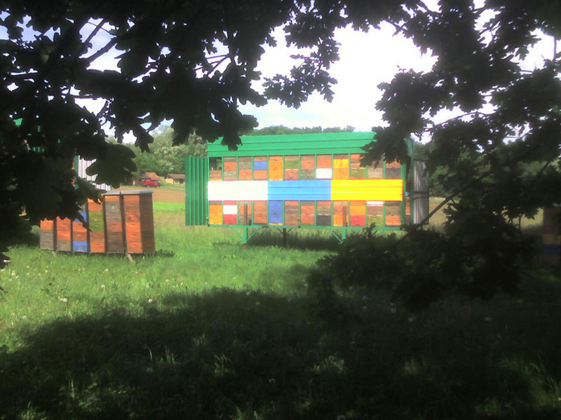 Pogled iz hladovine